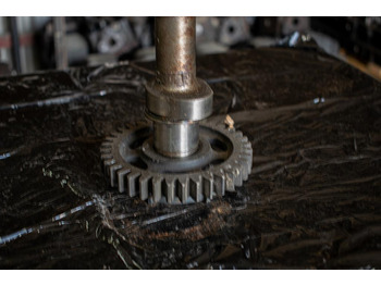 Распределительный вал для Грузовиков MAN TGA WITH ENGINE CODE D 2066: фото 2 Распределительный вал для Грузовиков MAN TGA WITH ENGINE CODE D 2066: фото 2