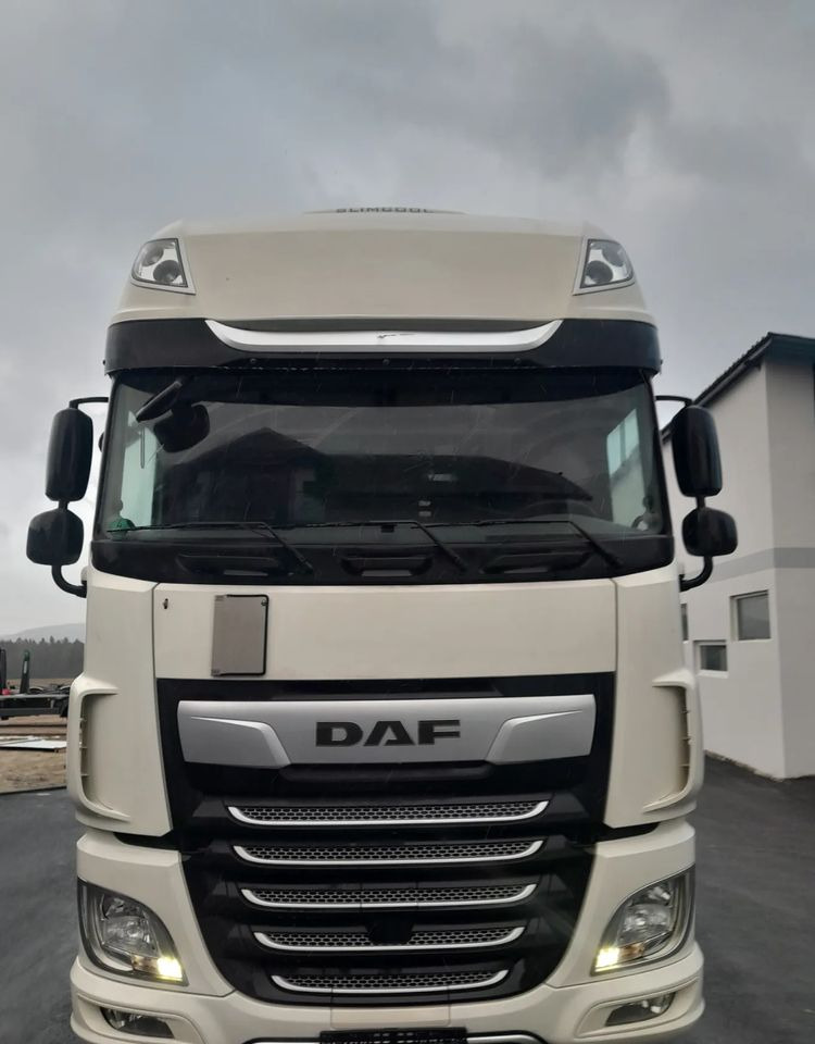 Грузовик-шасси DAF XF 106 450 / BDF RETARDER: фото 13