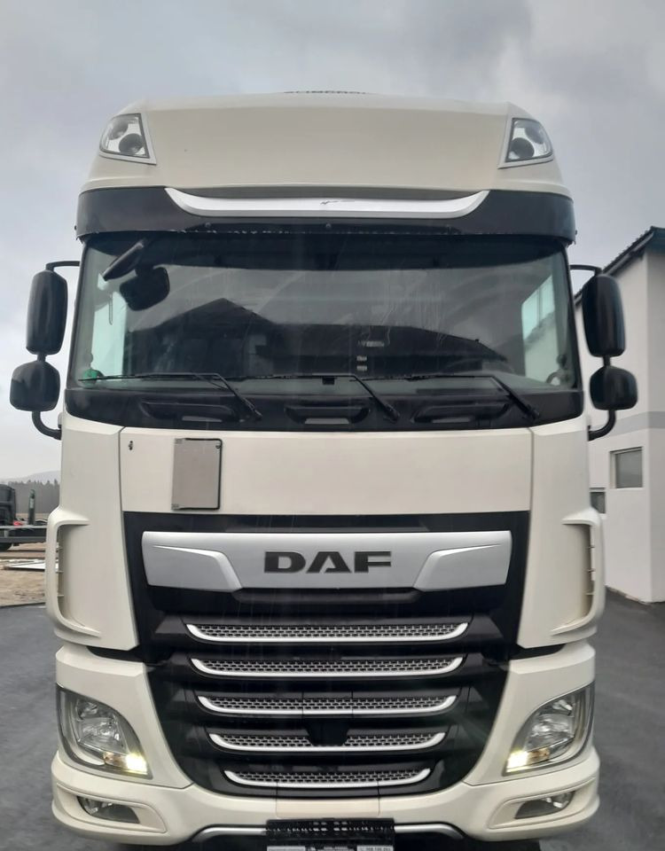 Грузовик-шасси DAF XF 106 450 / BDF RETARDER: фото 12